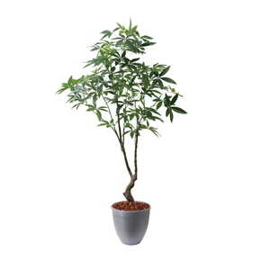 �y5�����ɗ\��z�y�����ʓrB�z180CM�߷�