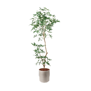 �y5�����ɗ\��z�y�����ʓrB�z180CM����ױݶ޽è̫ر