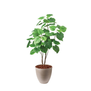 商品検索 ｜ YDMオンラインストア ｜ 横浜ディスプレイミュージアム