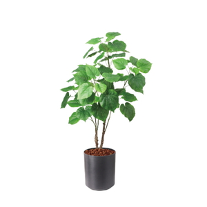 �y5�����ɗ\��z�y�����ʓrA�z120CM����װ�