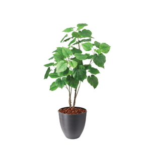 商品検索 ｜ YDMオンラインストア ｜ 横浜ディスプレイミュージアム