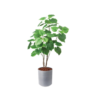 �y5�����ɗ\��z�y�����ʓrA�z120CM����װ�