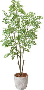 【送料別途B】トリネコ1.8M