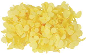 誤GP ゲンテイアトランティス アジサイ スイートイエロー