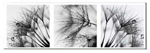 �y�l��z���s�zInterior Art