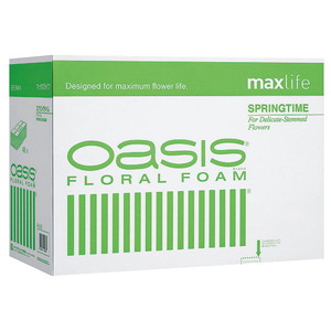 ylszIAVXXvO^C(48P)