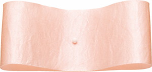 グロッシー 36mmX14m 22 シェルピンク