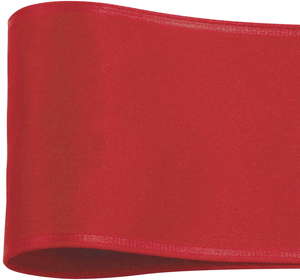 ƭ�ذ��ٻ�ݴ�ܲ԰  100X10�@16