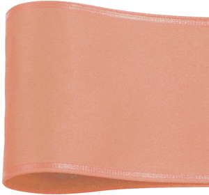 ƭ�ذ��ٻ�ݴ�ܲ԰  100X10�@23