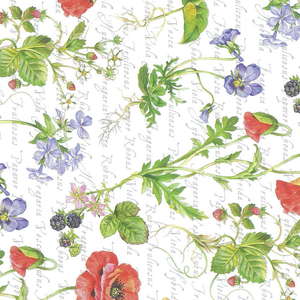 25P)トスカーナスタンダードペーパー11