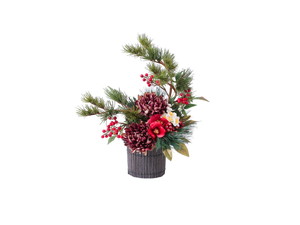 タケコトブキカザリ