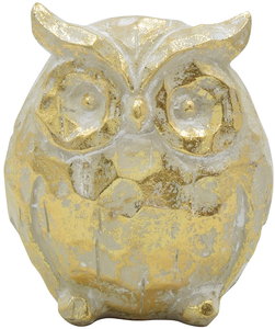 【個人宅不可】レジーヌオウルS