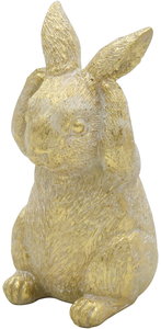 【個人宅不可】レジーヌラビット02