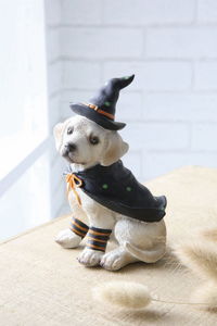 �y�l��s�z̧ݼ����߰����