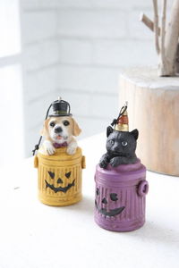 �y�l��s�z�۳����ݽ��߱