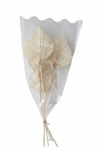 �y�l��s�z�߰ѽ�߰�ޥ�ܲ� 4P���