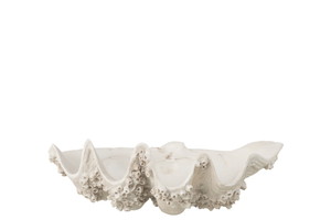 ��DECO BOWL SEASHELL  S