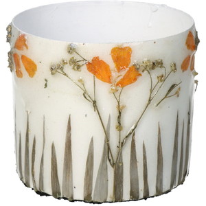 ��Planter Dried Flowers Ivory