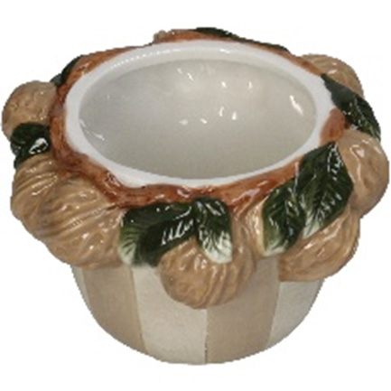 ■Planter Walnuts Dolomite