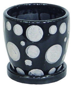 �y�l��z���s�z��ڰ�����߯���ׯ�S