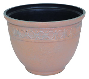 ylzszޯ߯Rose Dawn