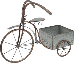 �y�l��z���s�z��è���ײ���������