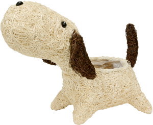 �����޽��� �ǯ�߰