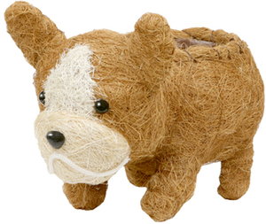 �����޽��� ������� ��