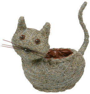 �����޽��� Ⱥ ��ڰ