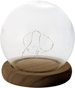 yʓrzylszLEDt׽ް