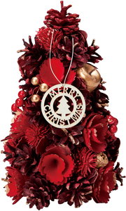 �y�ʓr�����z�y�l��s�z�ؽϽ�ذS