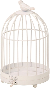 ��è����ط �ް�޹ް��S �ܲ�