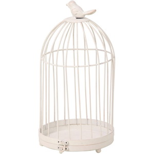 ��è����ط �ް�޹ް��L �ܲ�