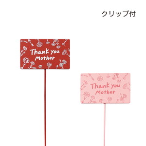 �ؐ���ڰ��߯� ��Ȱ����ڰ�  2��×�e6�{