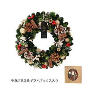 CMナチュラルリースLエバーグリーン