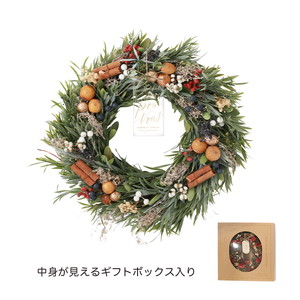 CMナチュラルリースLシャビークリスマス