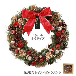 CM�����ذ� LL̫ڽ�گ������