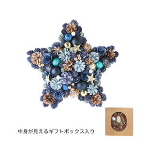 CMナチュラルリース スター Lファンタスティックスター