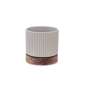 �y�l��z���s�z���ި�߯� ��ڰ