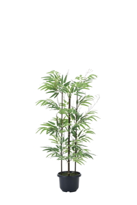 �y�ʓr�����z���| 1.0(��:�V�R���|)