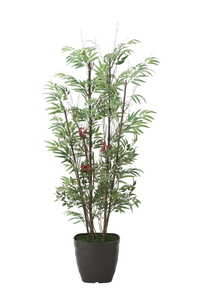 �y�ʓr�����z���|&��V1.6(��:�V�R���|)