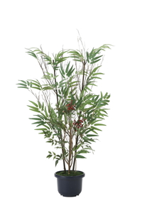 �y�ʓr�����z���|&��V1.0(��:�V�R���|)