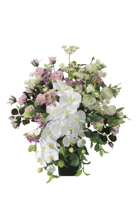 �y�ʓr�����z������̧��