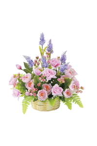 �y�ʓr�����z��-