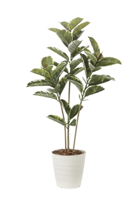 �y�ʓr�����z��ü�1.2