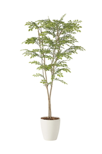 �y�ʓr�����zײ���غ1.6