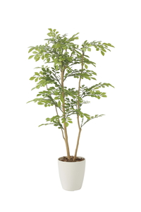 �y�ʓr�����zײ���غ1.0