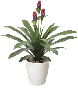 �y�ʓr�����z϶��މԕt(��ؐ�)