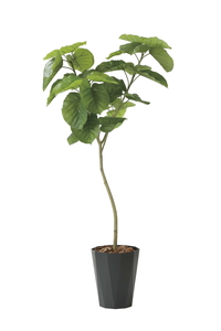 �y�ʓr�����z�گ���޻޲ݳ����-�1.8