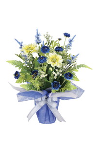 【別途送料】スイートマリー